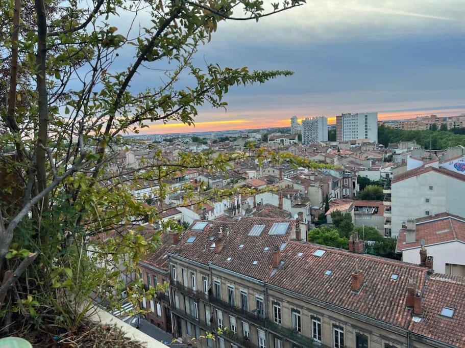 Rooftop Chaleureux Hyper-Centre Διαμέρισμα Τουλούζη Εξωτερικό φωτογραφία